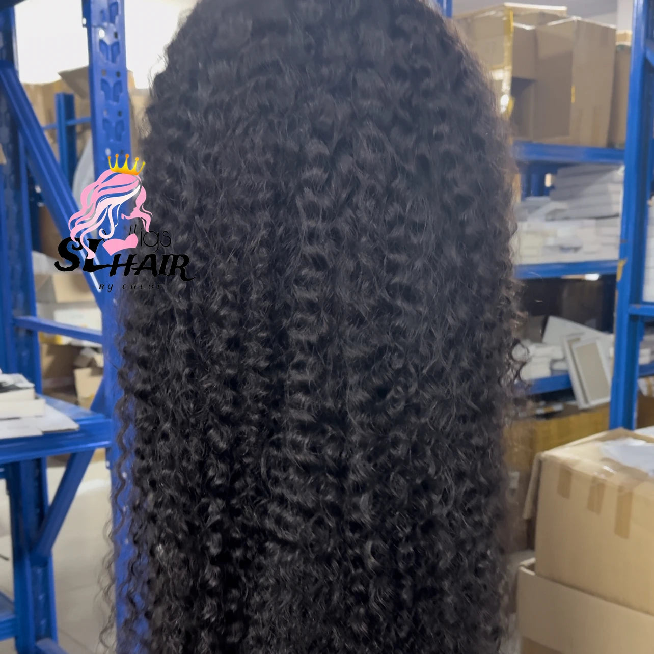 EVelora 180%-200% Density Raw Pre-Plucked HD Lace Front Wig | 2x6 13x6 5x5 9x6 Glueless