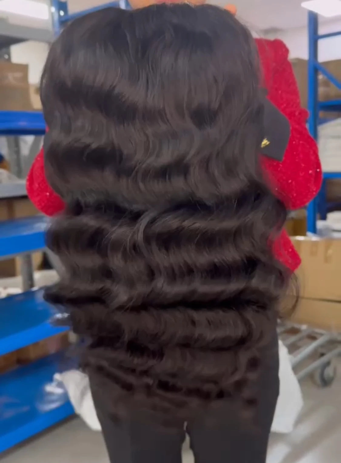 EVelora Deep Wave HD Lace Front Wig | Natural Vietnamese Burmese Curl Glueless