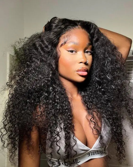 EVelora 4x6 Glueless Full HD Lace Frontal Wig | Cuticle Aligned Virgin Raw Indian Hair