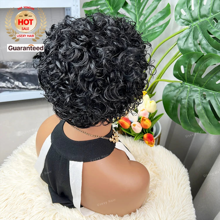 EVelora Raw Indian Pixie Cut Glueless Lace Front Wig | Short Human Hair