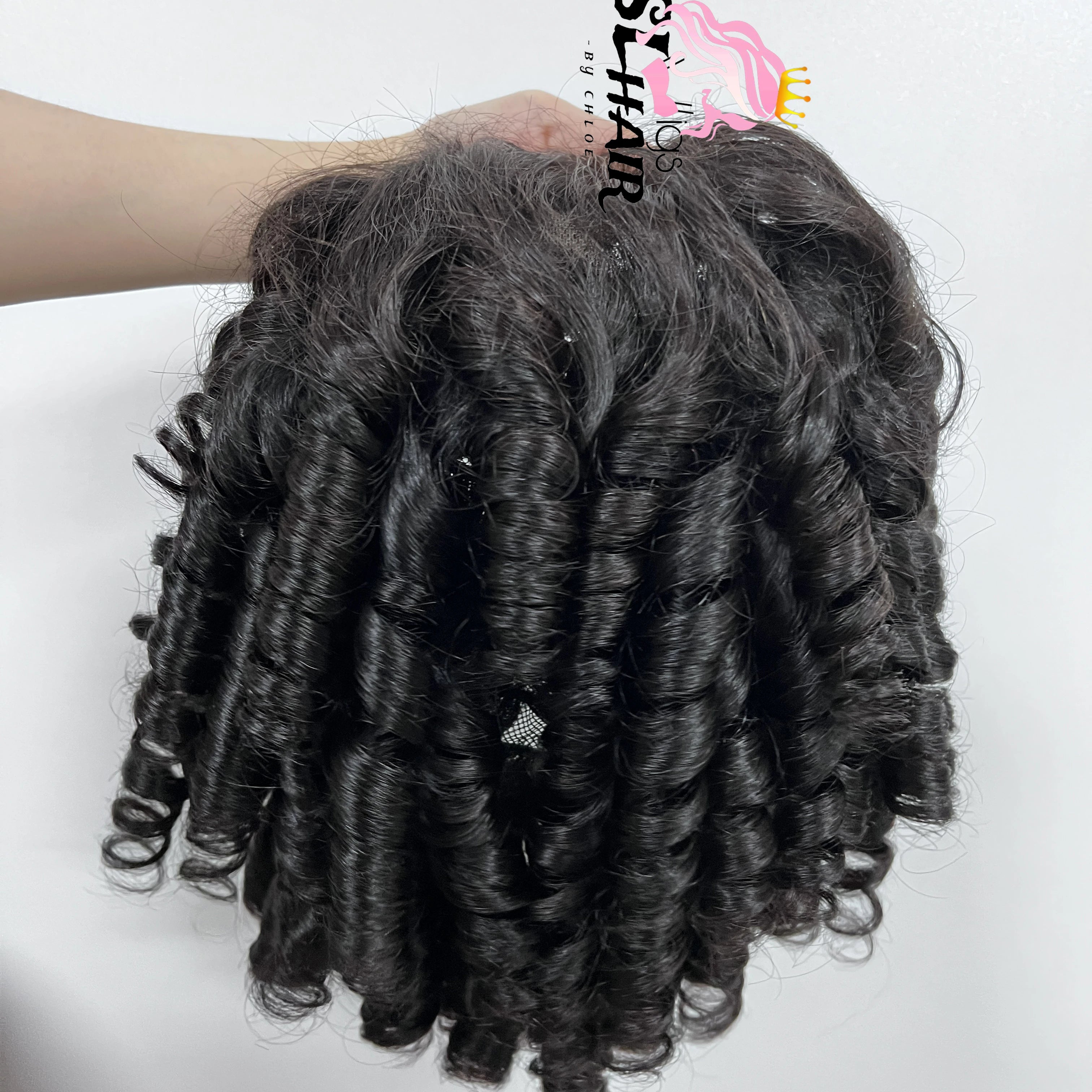 EVelora 180%-200% Density Raw Pre-Plucked HD Lace Front Wig | 2x6 13x6 5x5 9x6 Glueless