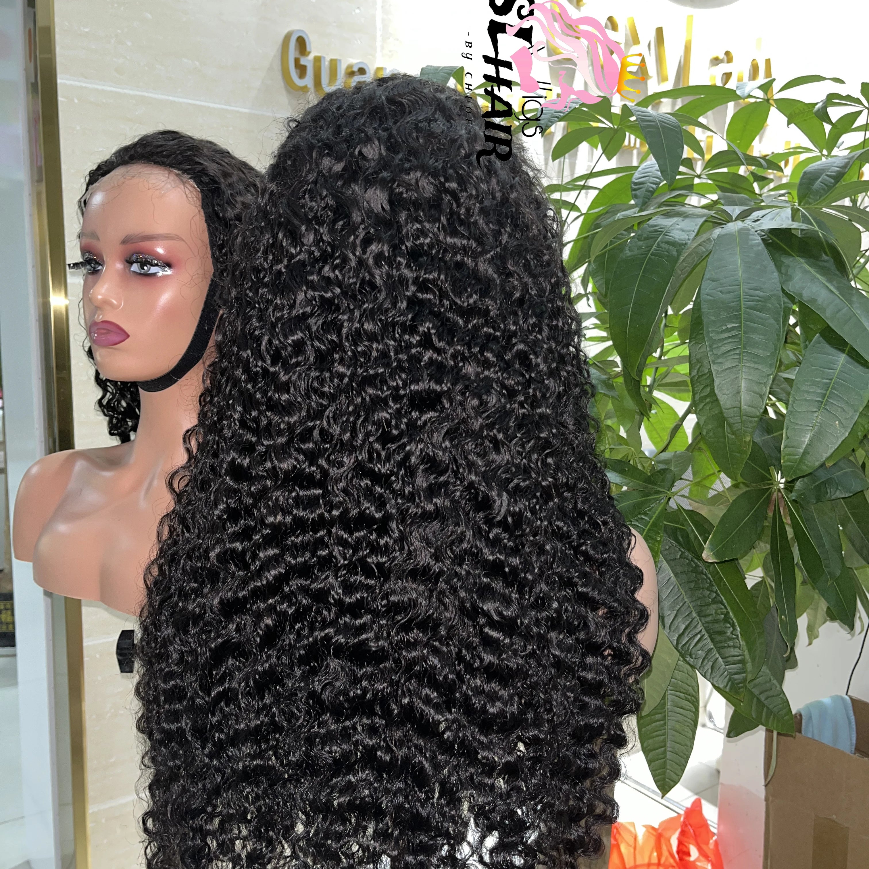 EVelora 180%-200% Density Raw Pre-Plucked HD Lace Front Wig | 2x6 13x6 5x5 9x6 Glueless