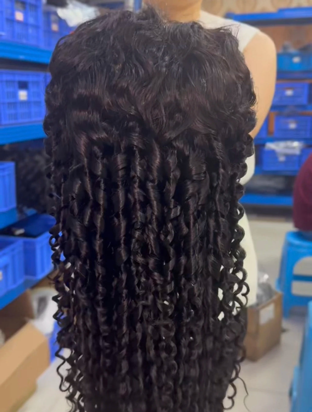 EVelora 180%-200% Density Raw Pre-Plucked HD Lace Front Wig | 2x6 13x6 5x5 9x6 Glueless
