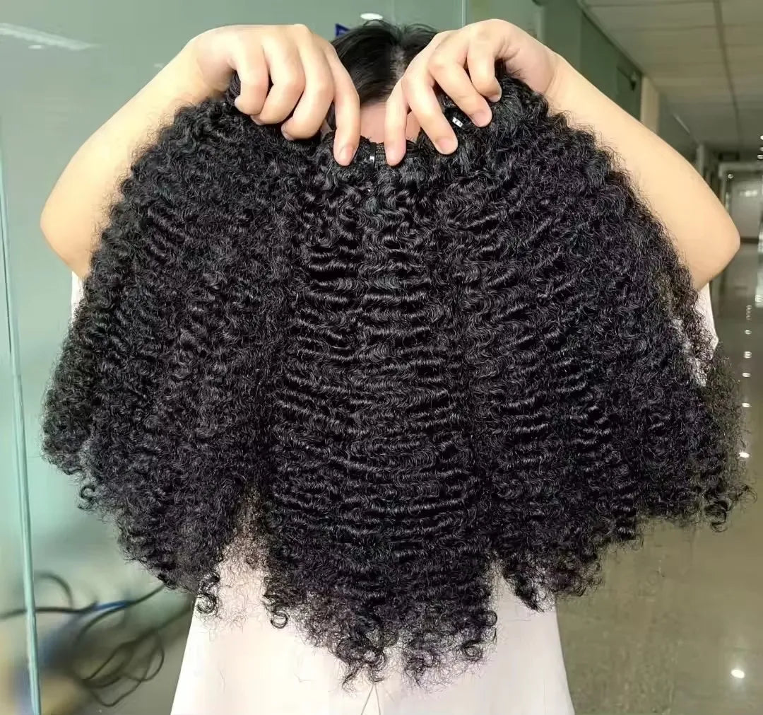 EVelora HD Lace Frontal & Closure Collection | Raw Burmese & Cambodian Curly Hair
