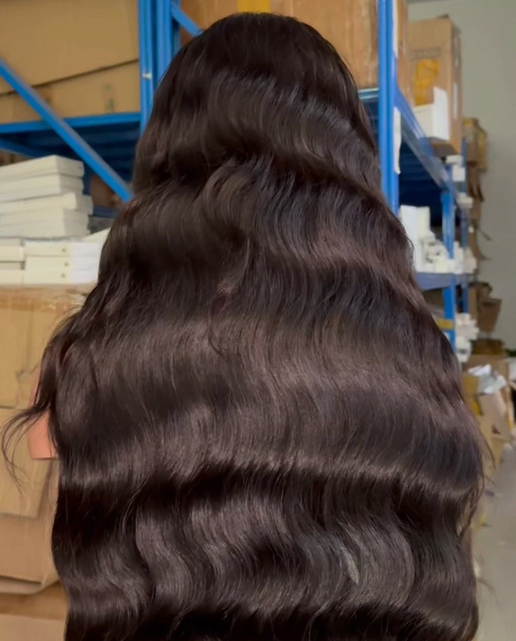 EVelora 180%-200% Density Raw Pre-Plucked HD Lace Front Wig | 2x6 13x6 5x5 9x6 Glueless
