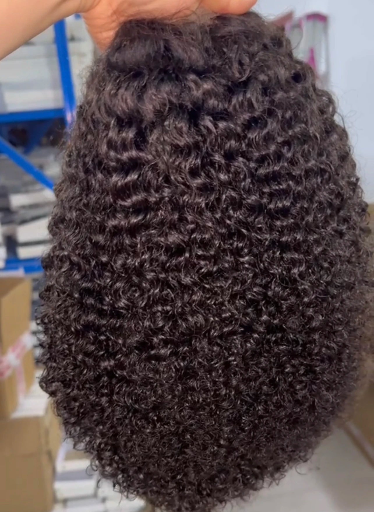 EVelora 180%-200% Density Raw Pre-Plucked HD Lace Front Wig | 2x6 13x6 5x5 9x6 Glueless